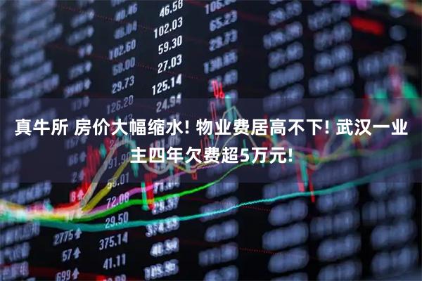 真牛所 房价大幅缩水! 物业费居高不下! 武汉一业主四年欠费超5万元!