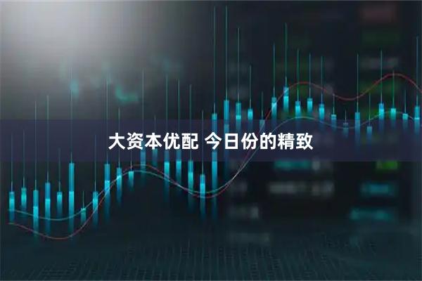 大资本优配 今日份的精致